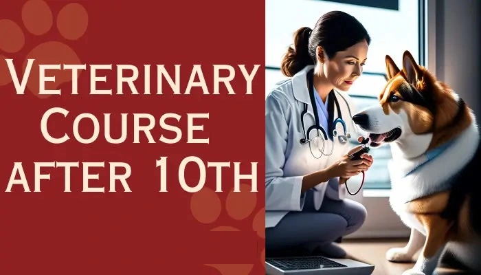 List of Veterinary Course after 10th