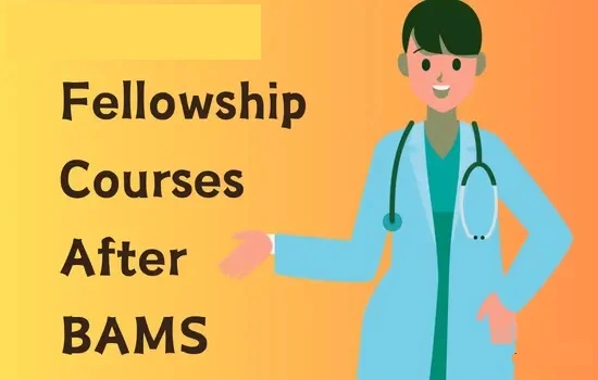 Fellowship Courses After BAMS