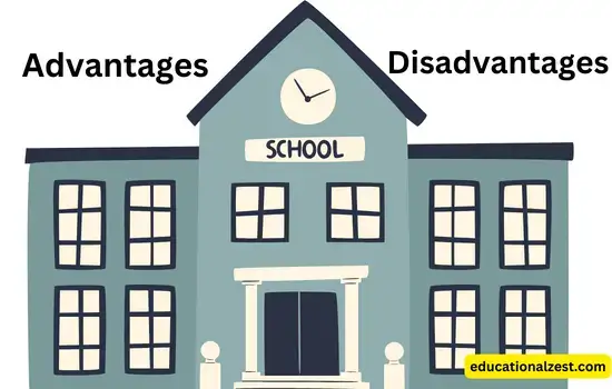 Advantages And Disadvantages Of School - Smart Cubs