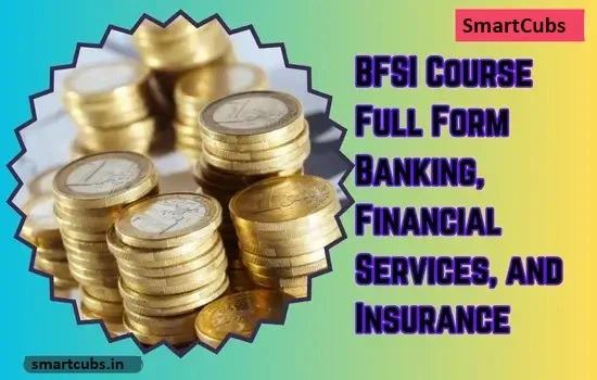 BFSI Course Full Form