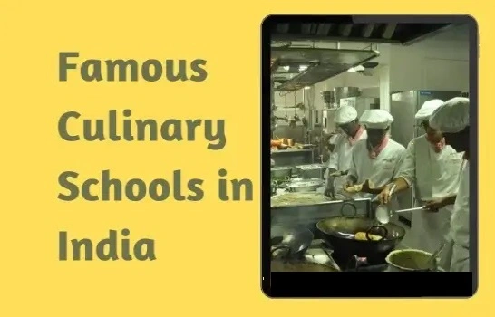 Famous Culinary Schools in India