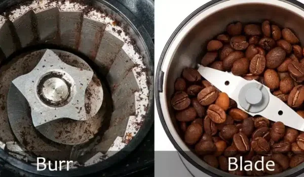Blade Grinders Versus Burr Grinders